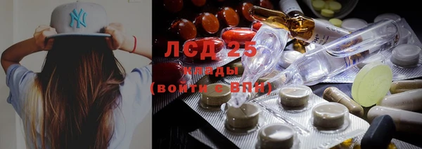 спиды Нефтекумск