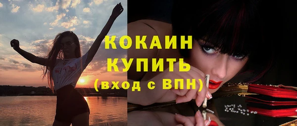 МДПВ Новозыбков