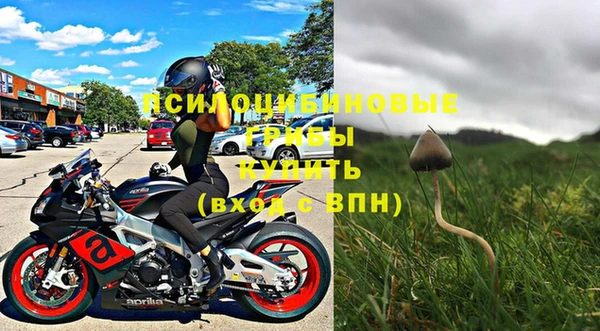 МДПВ Новозыбков