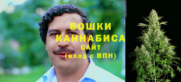 метадон Новодвинск