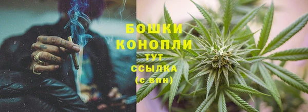 МДПВ Новозыбков